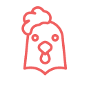 Pollo
